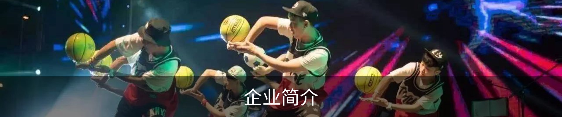 企业简介